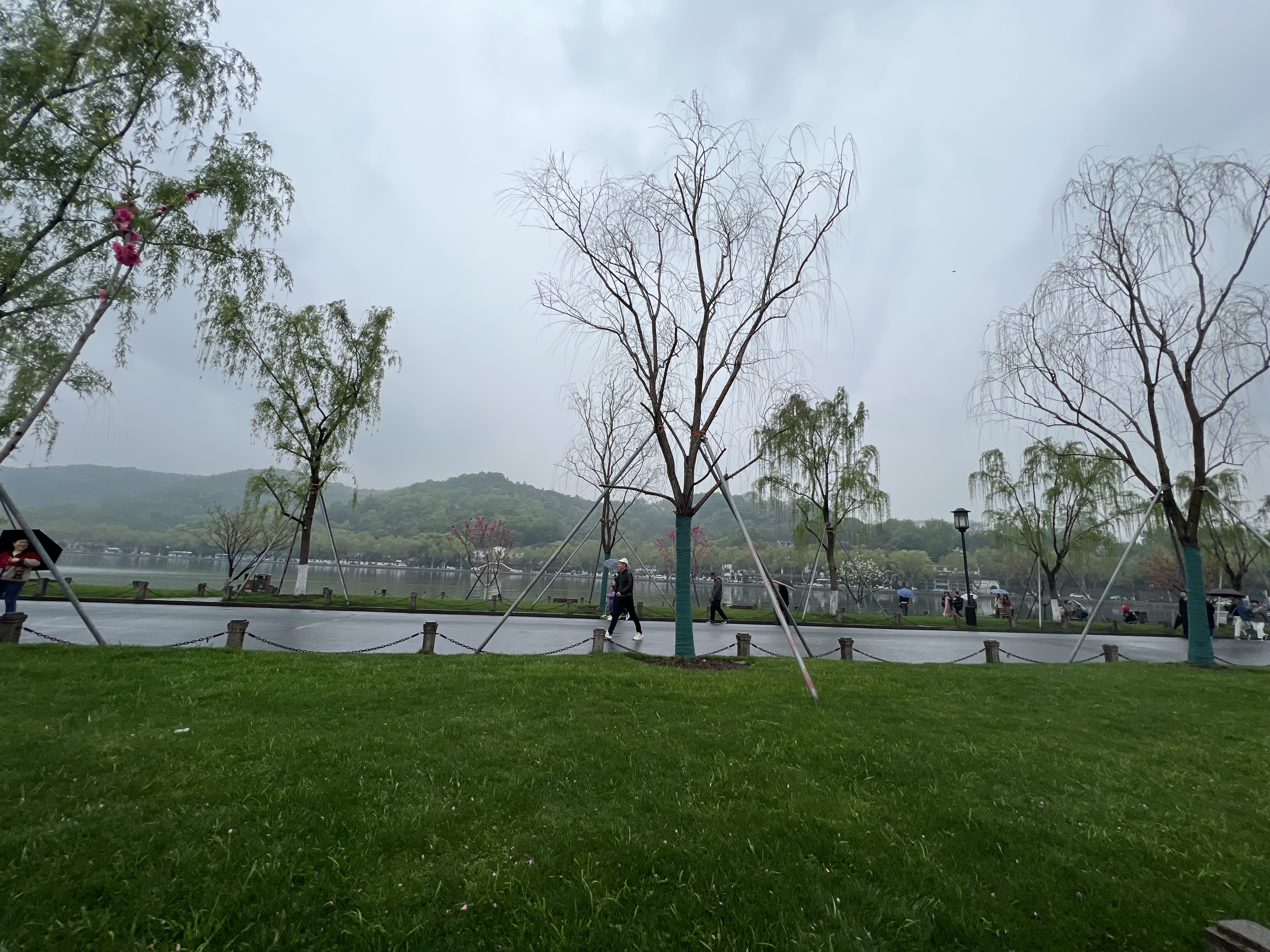 图片 24