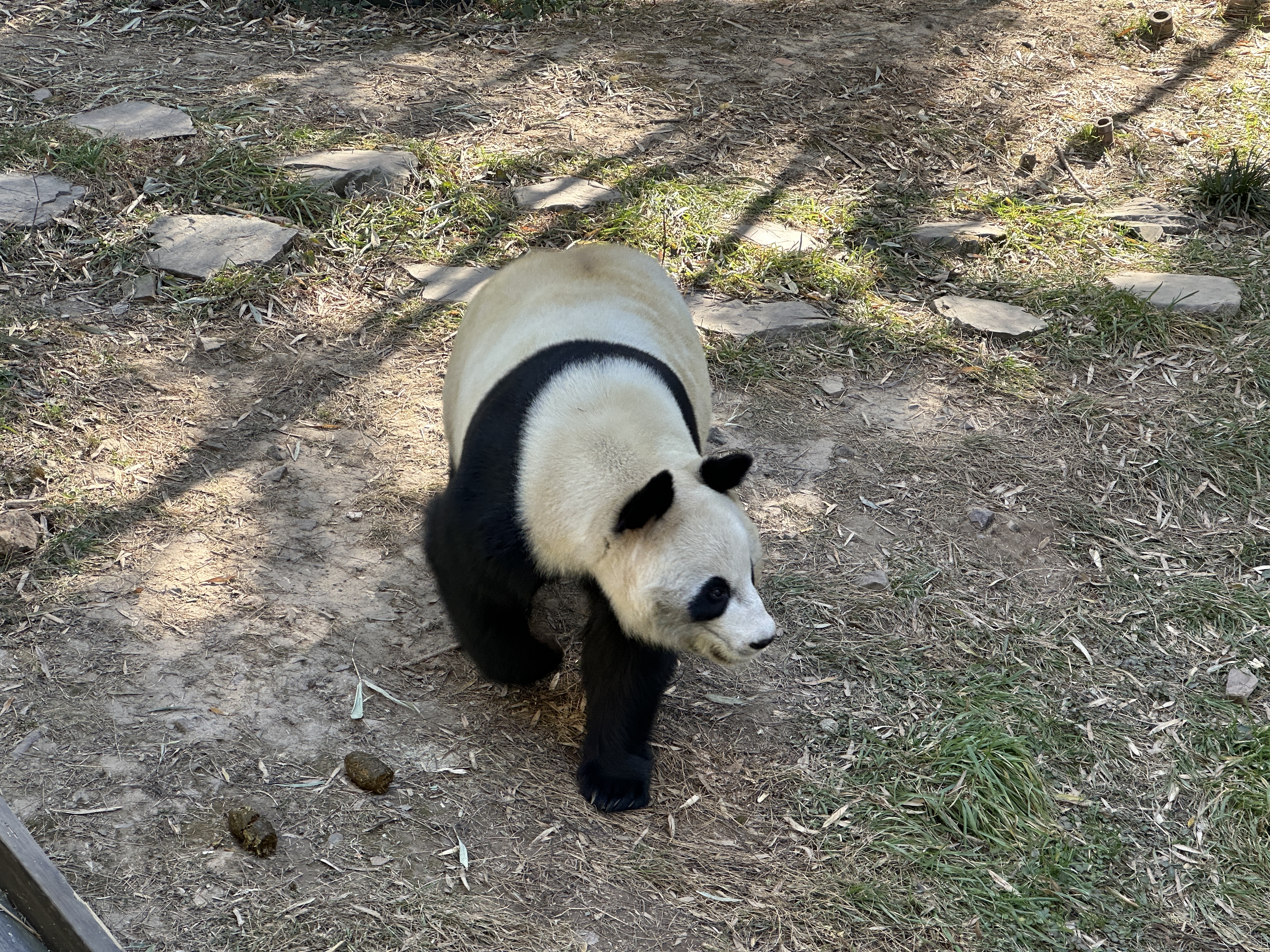 图片 1