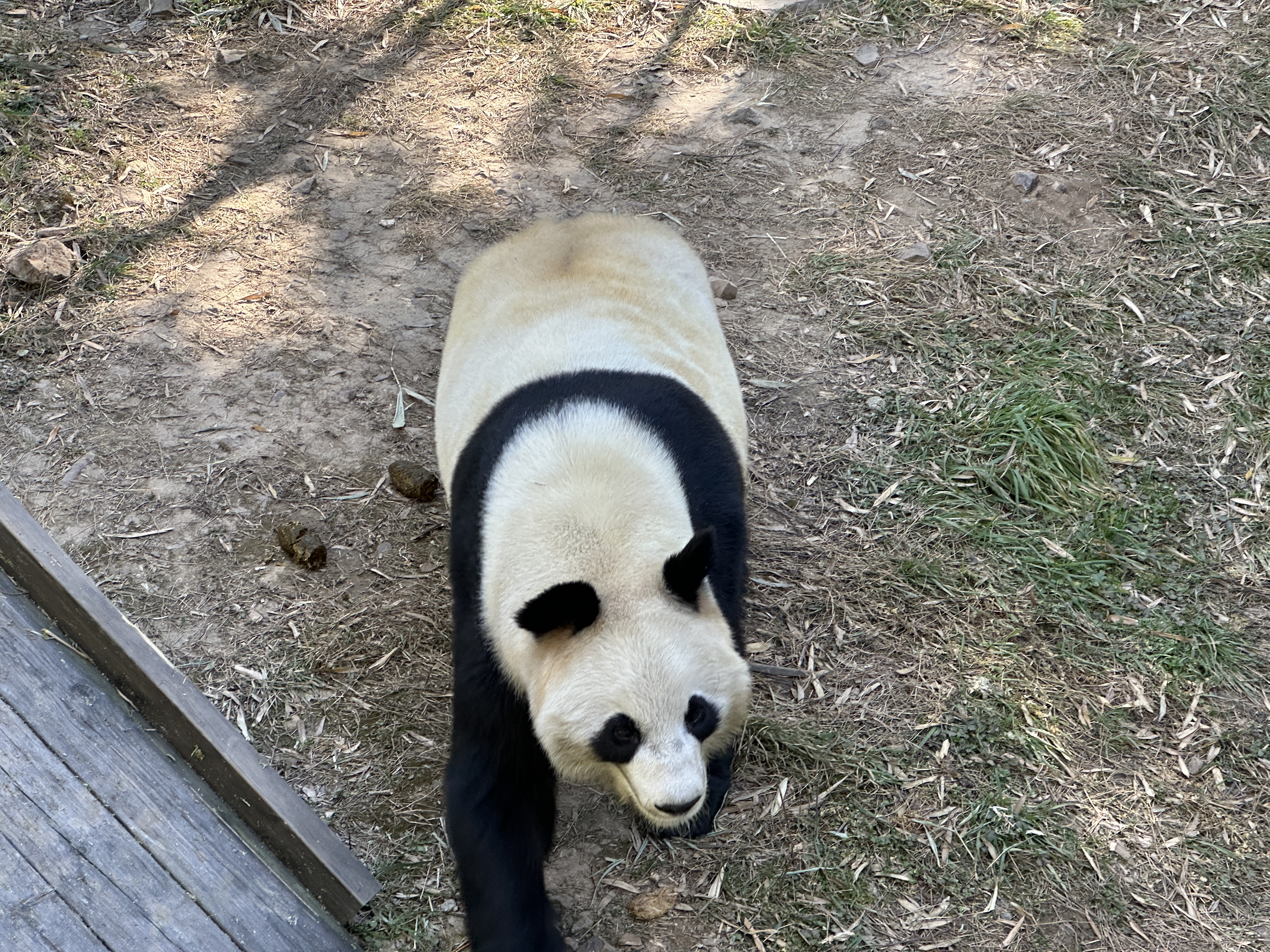 图片 2