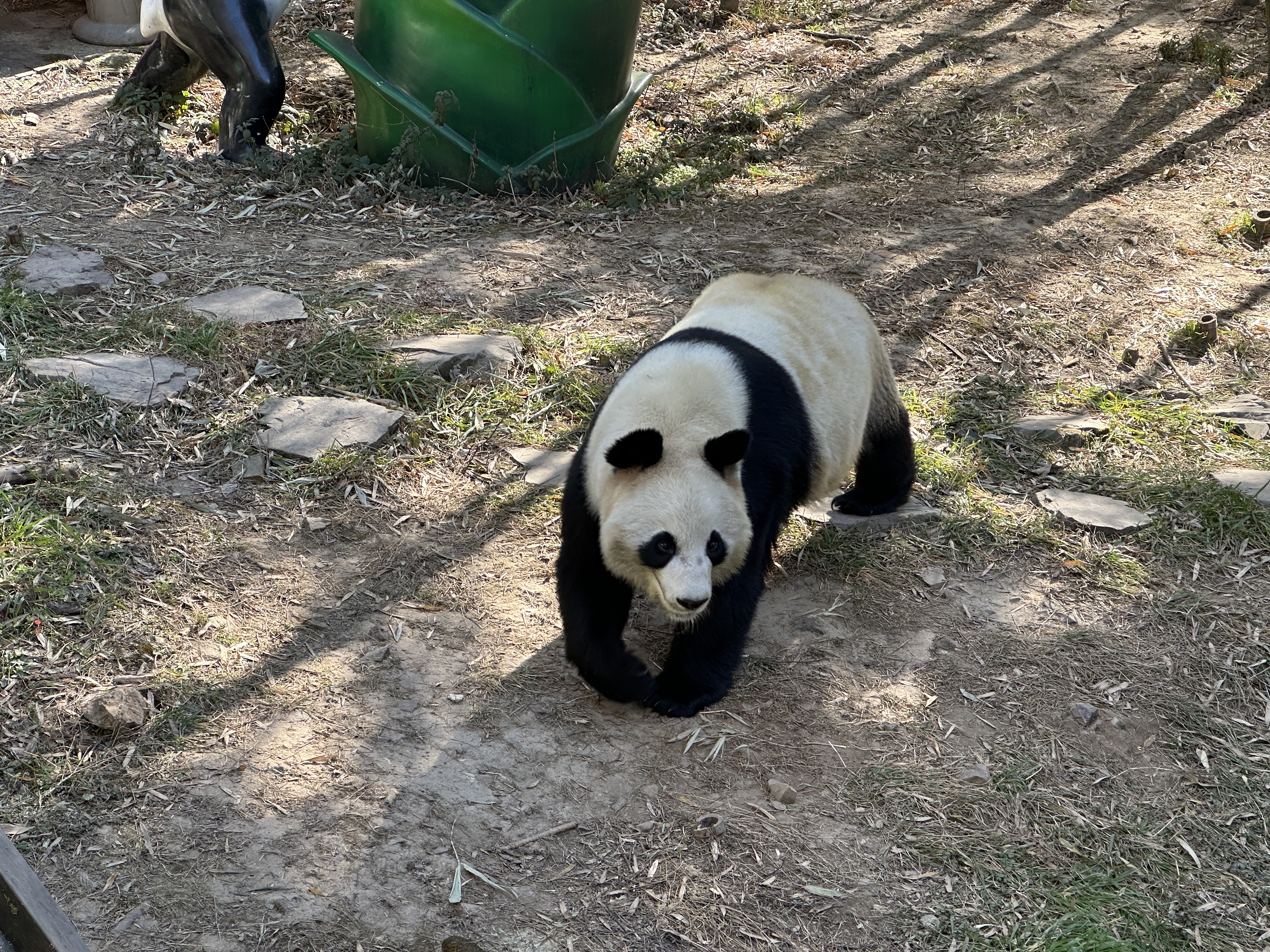 图片 6
