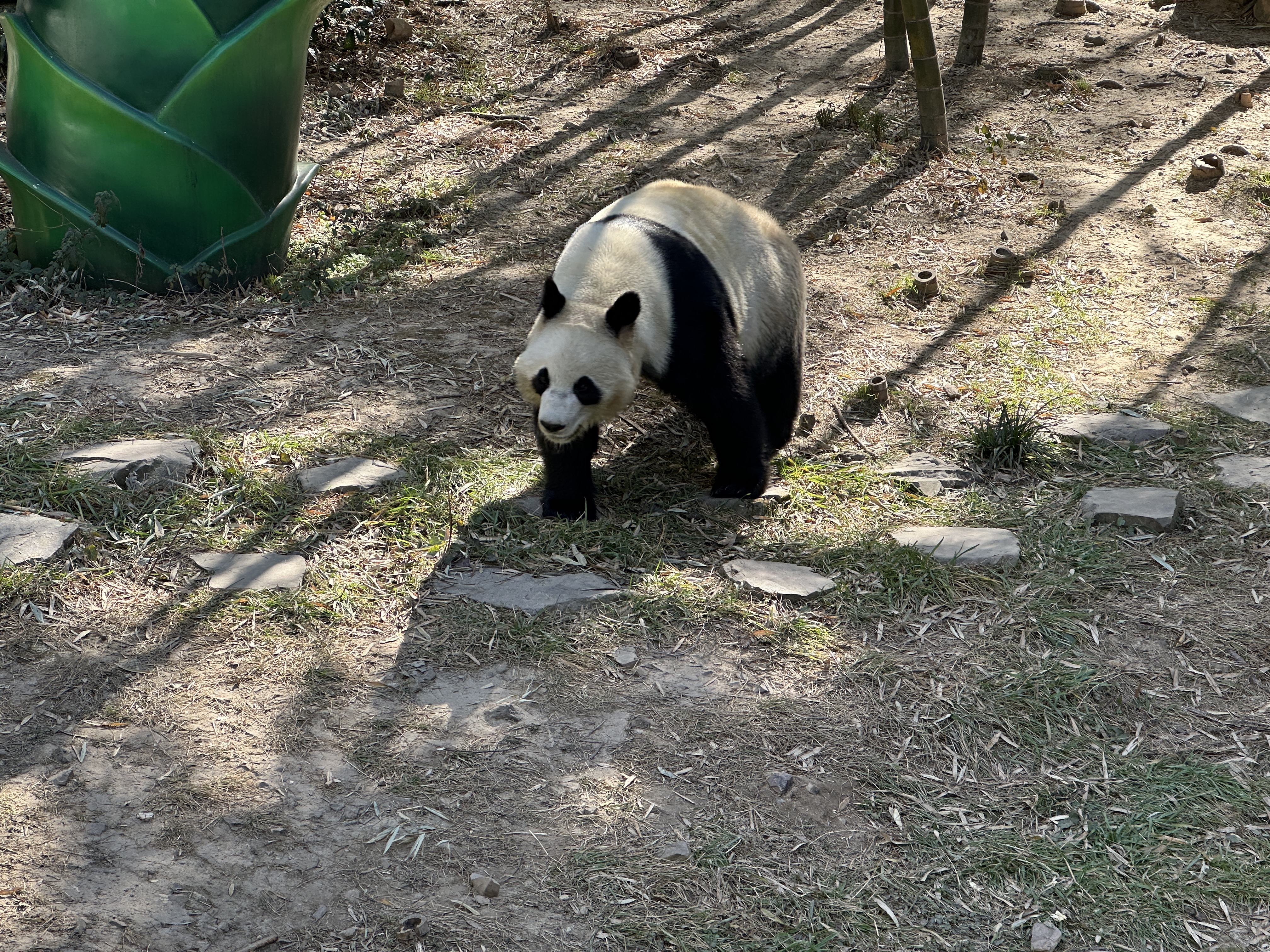 图片 7