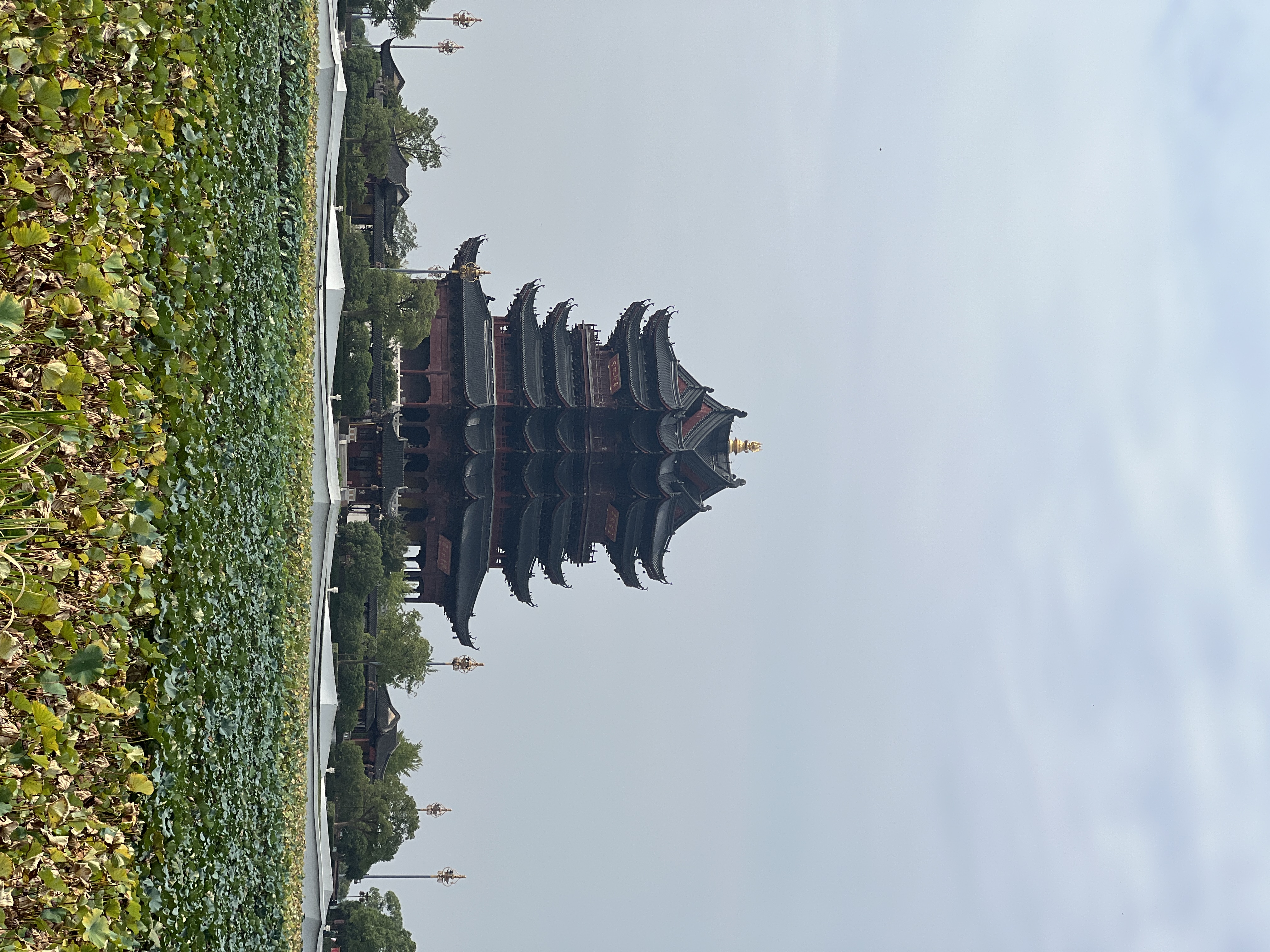 图片 16