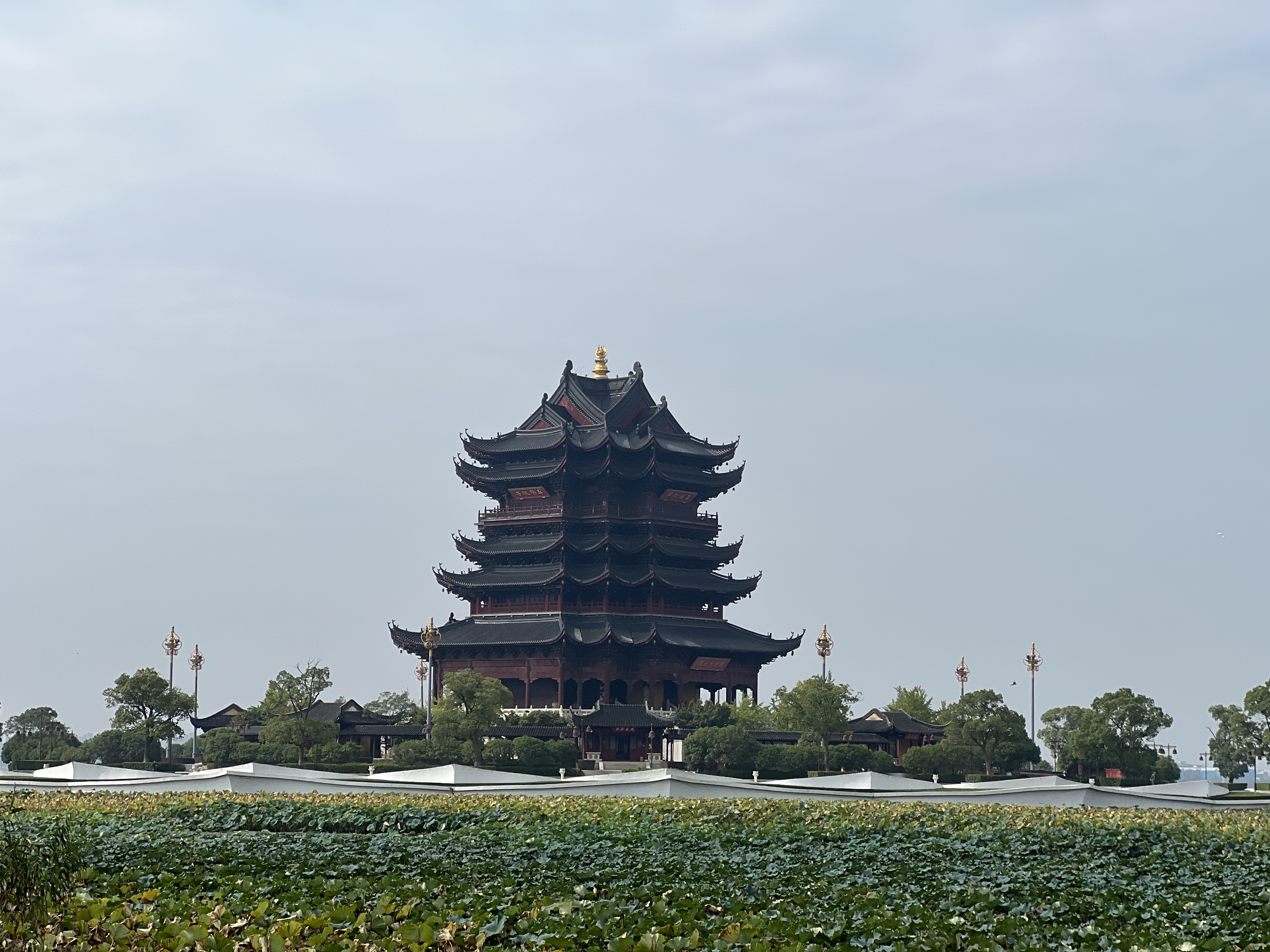 图片 19