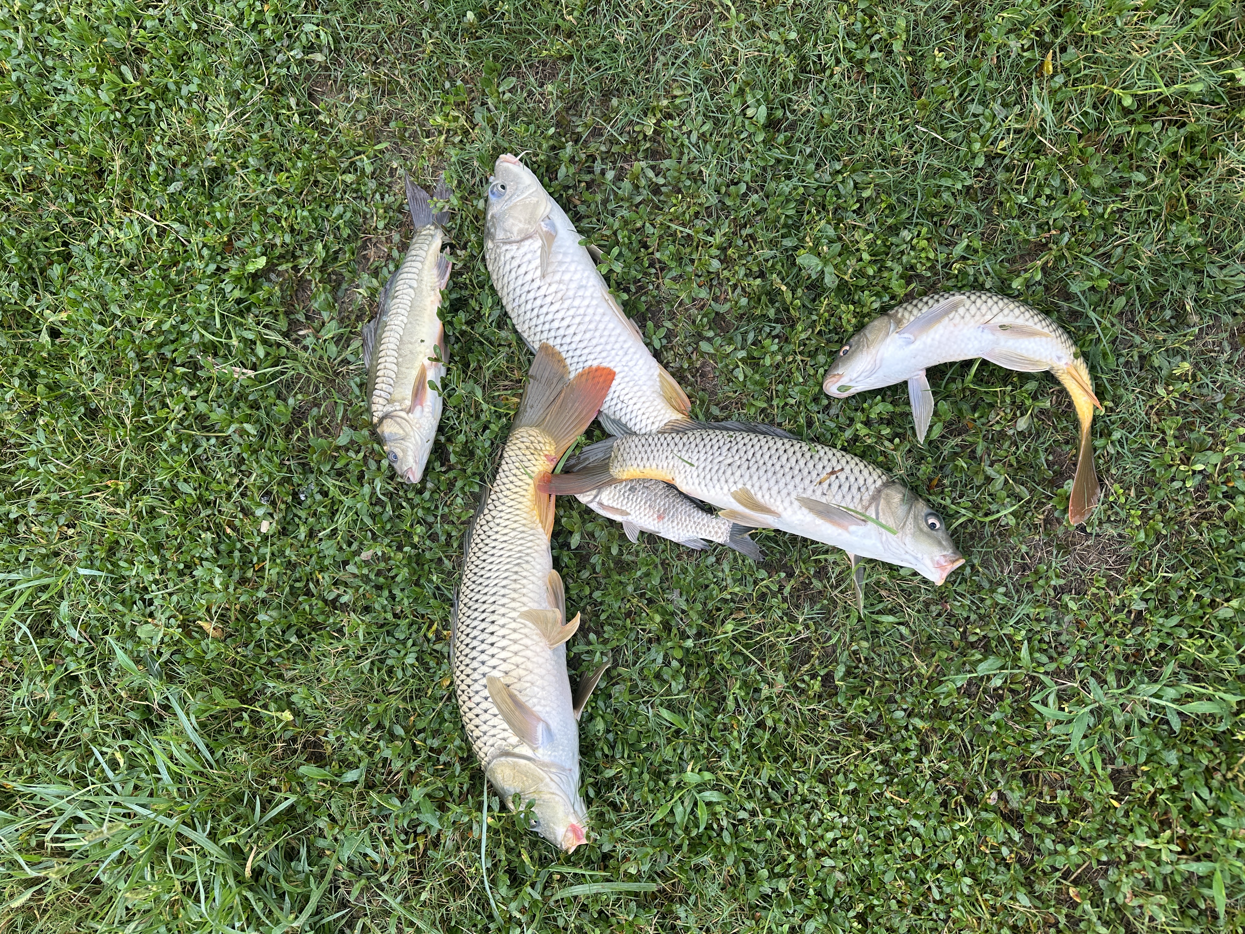 漂流 (15)
